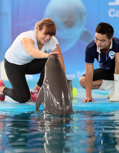 的治疗和康 的治疗和康