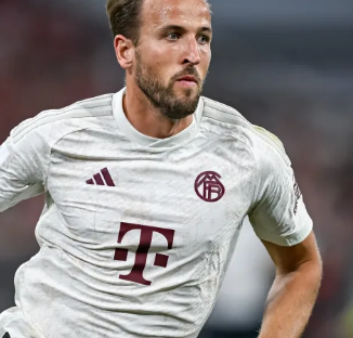 合力的范本 合力的范本